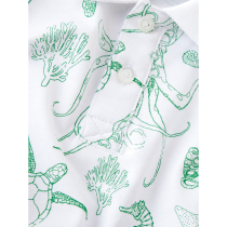 NAME IT Polo T-shirt Finn Bright White